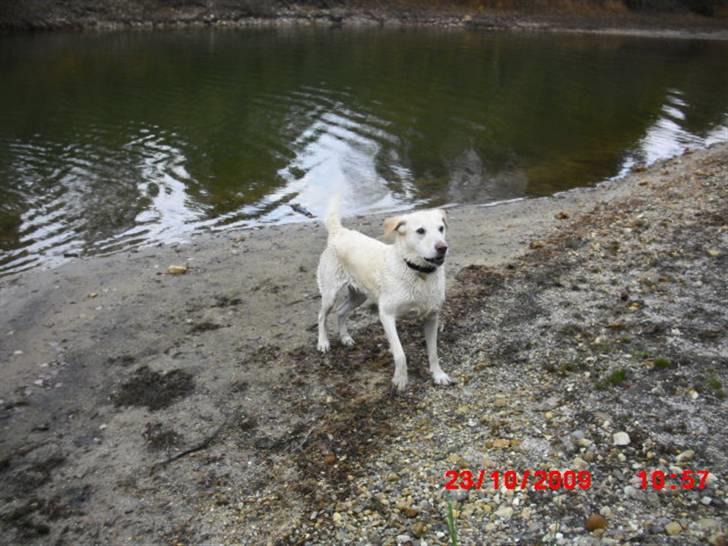 ». rikke schjødt jensen i; <3 billede 33