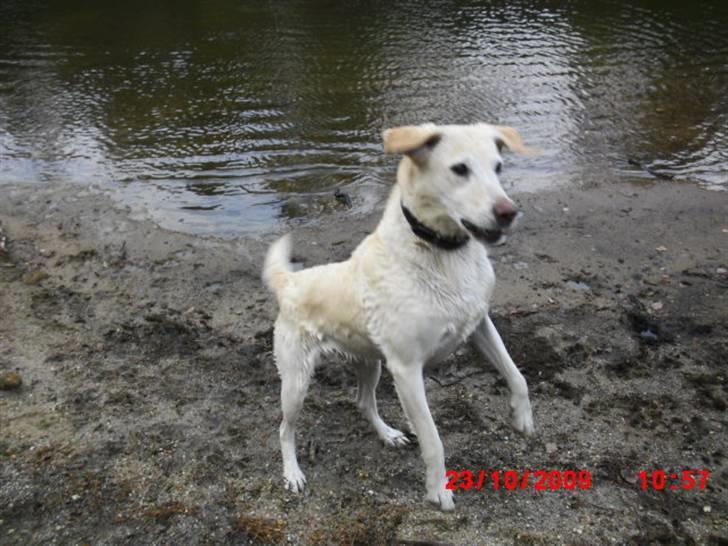 ». rikke schjødt jensen i; <3 billede 34