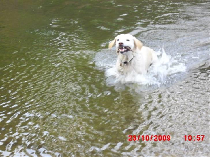 ». rikke schjødt jensen i; <3 billede 35