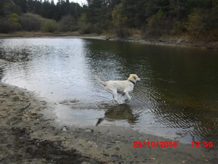 ». rikke schjødt jensen i; <3 billede 36