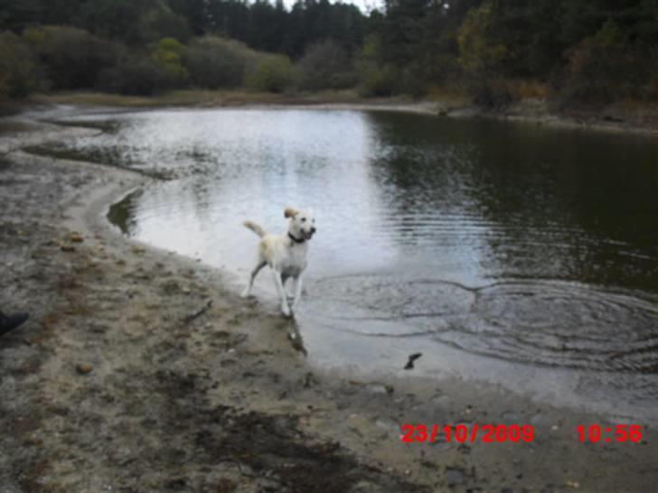 ». rikke schjødt jensen i; <3 billede 37