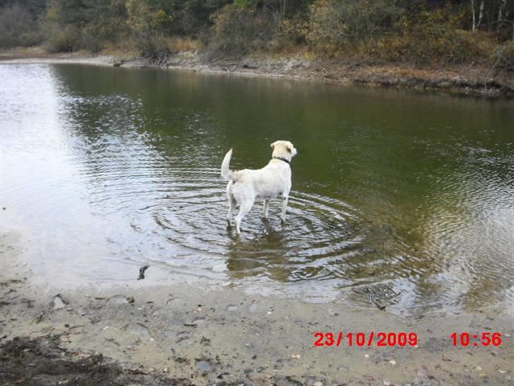 ». rikke schjødt jensen i; <3 billede 38