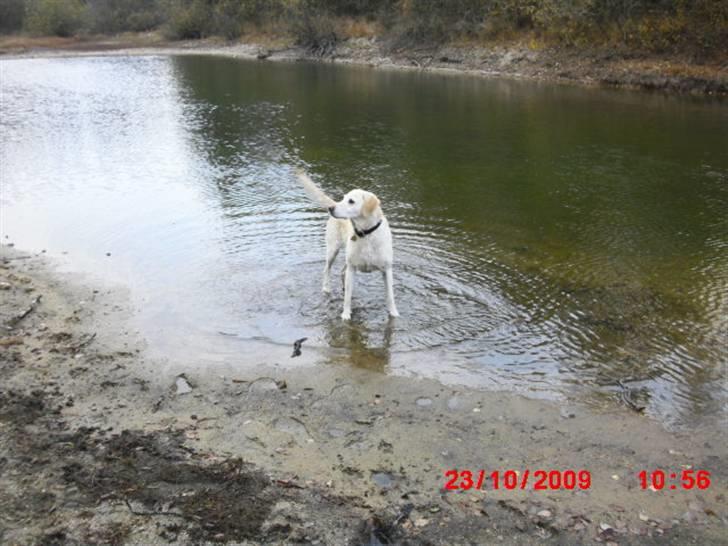 ». rikke schjødt jensen i; <3 billede 39