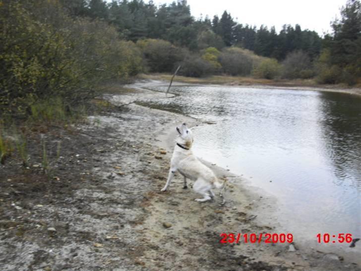 ». rikke schjødt jensen i; <3 billede 41