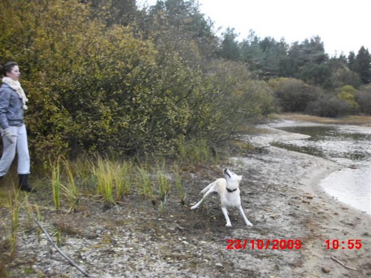 ». rikke schjødt jensen i; <3 billede 42