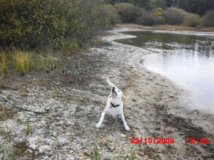 ». rikke schjødt jensen i; <3 billede 43