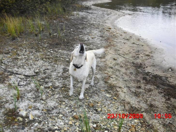 ». rikke schjødt jensen i; <3 billede 44