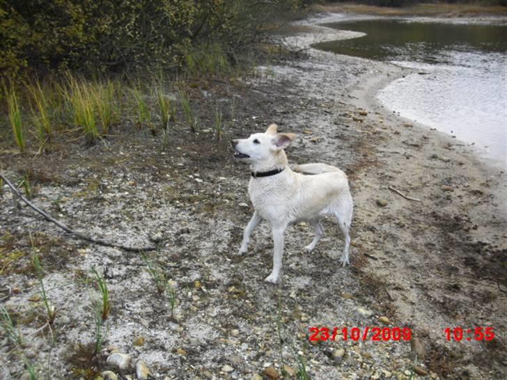 ». rikke schjødt jensen i; <3 billede 45