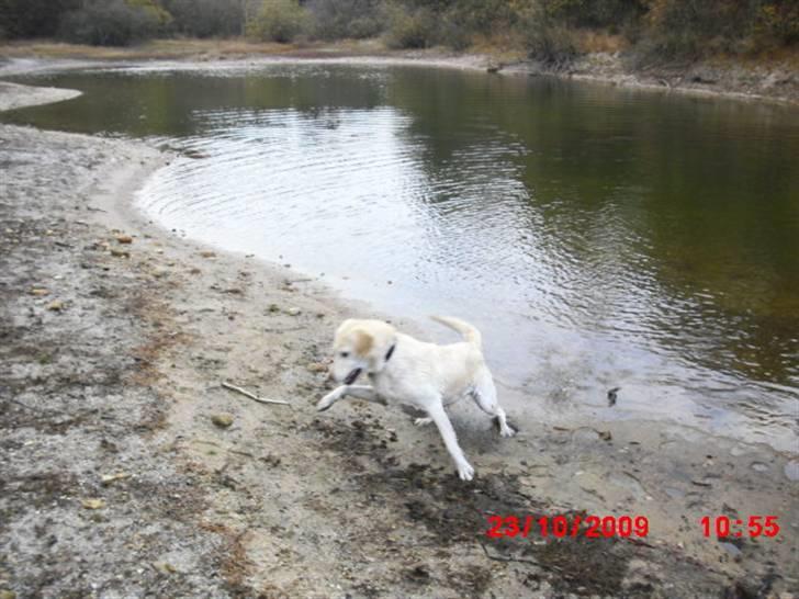 ». rikke schjødt jensen i; <3 billede 46