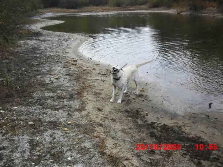 ». rikke schjødt jensen i; <3 billede 47