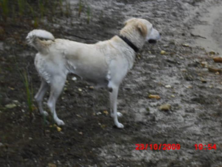 ». rikke schjødt jensen i; <3 billede 48