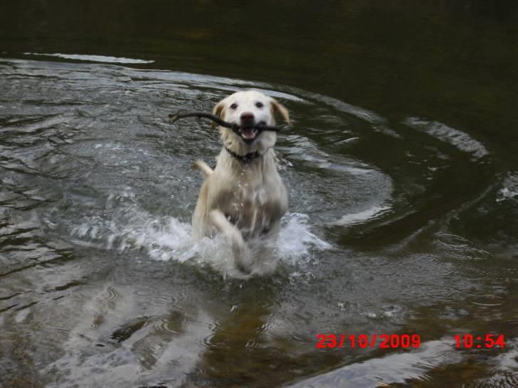». rikke schjødt jensen i; <3 billede 49