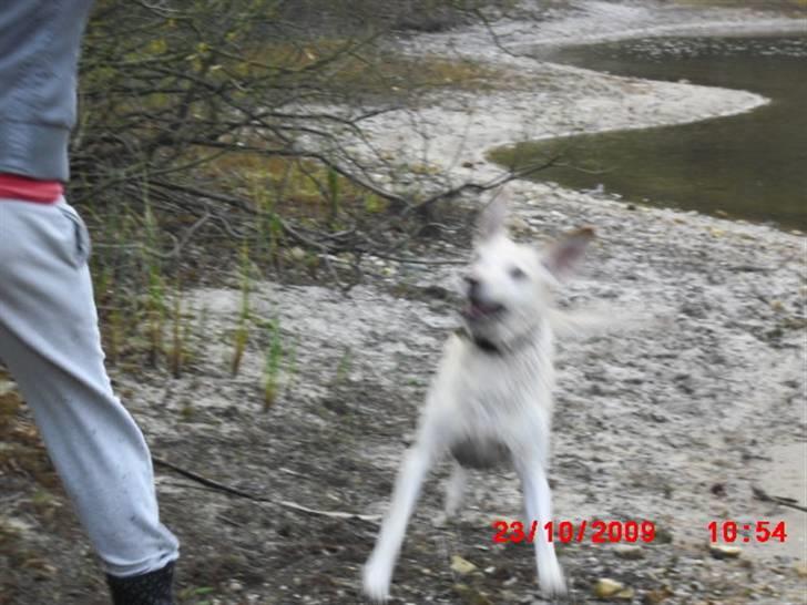 ». rikke schjødt jensen i; <3 billede 50