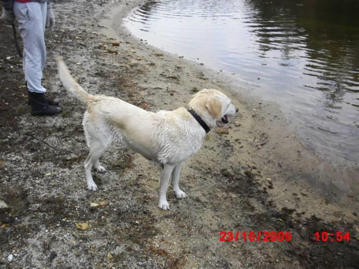 ». rikke schjødt jensen i; <3 billede 51