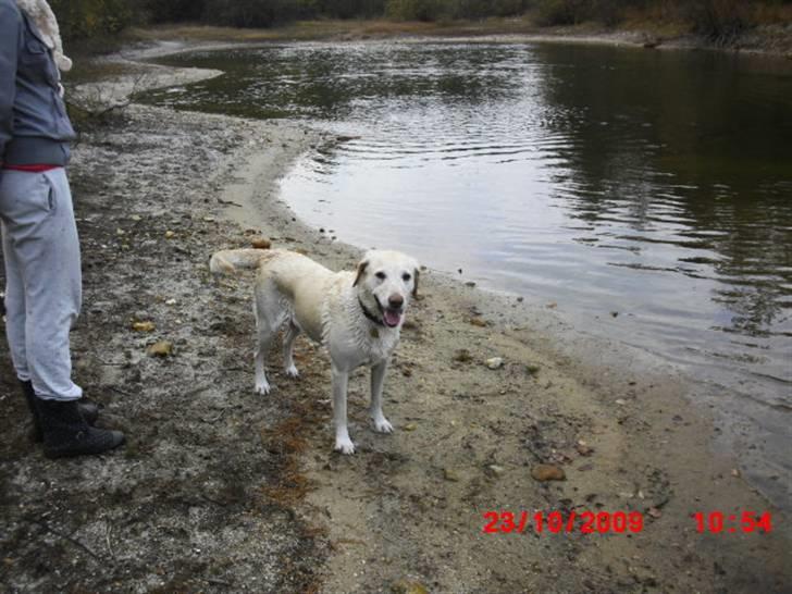». rikke schjødt jensen i; <3 billede 52