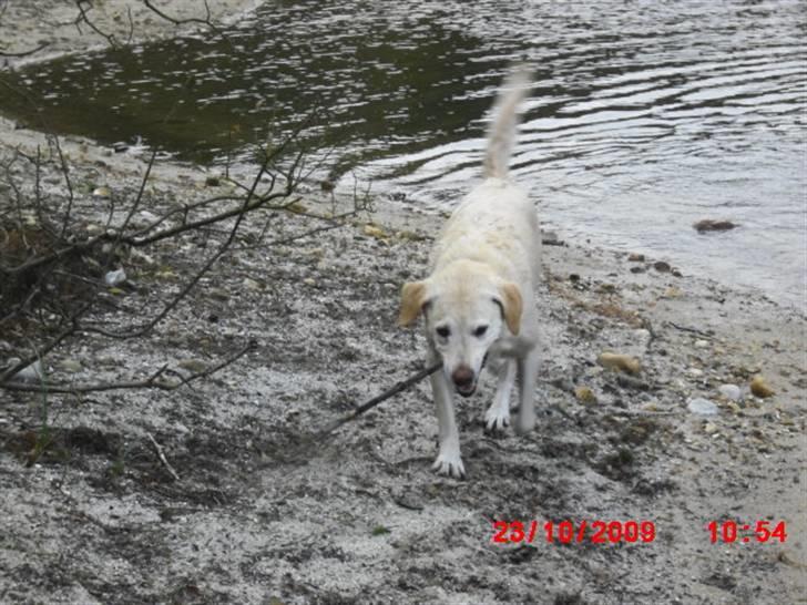 ». rikke schjødt jensen i; <3 billede 53