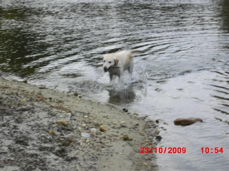 ». rikke schjødt jensen i; <3 billede 54