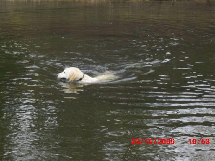 ». rikke schjødt jensen i; <3 billede 55