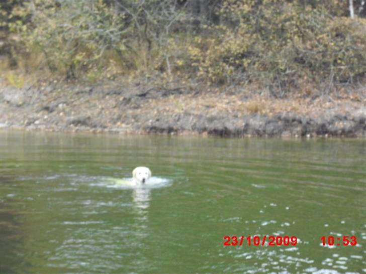 ». rikke schjødt jensen i; <3 billede 56