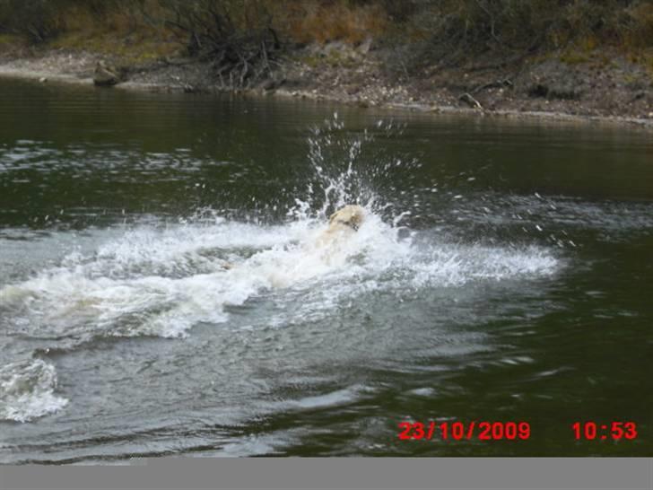 ». rikke schjødt jensen i; <3 billede 57