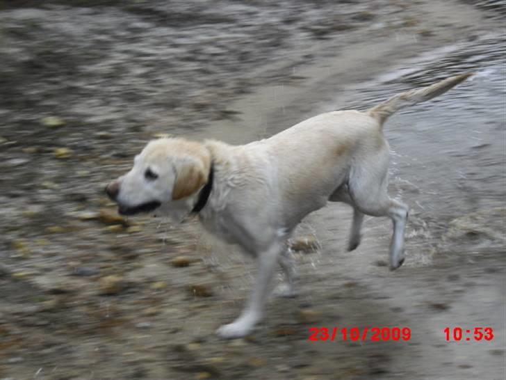 ». rikke schjødt jensen i; <3 billede 58