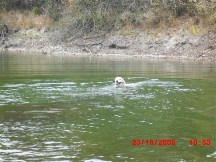 ». rikke schjødt jensen i; <3 billede 59