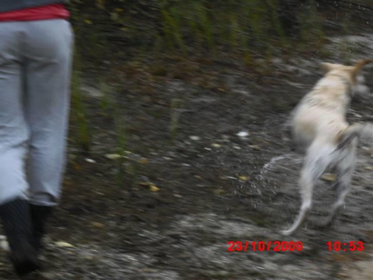 ». rikke schjødt jensen i; <3 billede 60