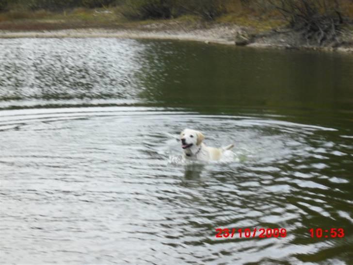 ». rikke schjødt jensen i; <3 billede 61