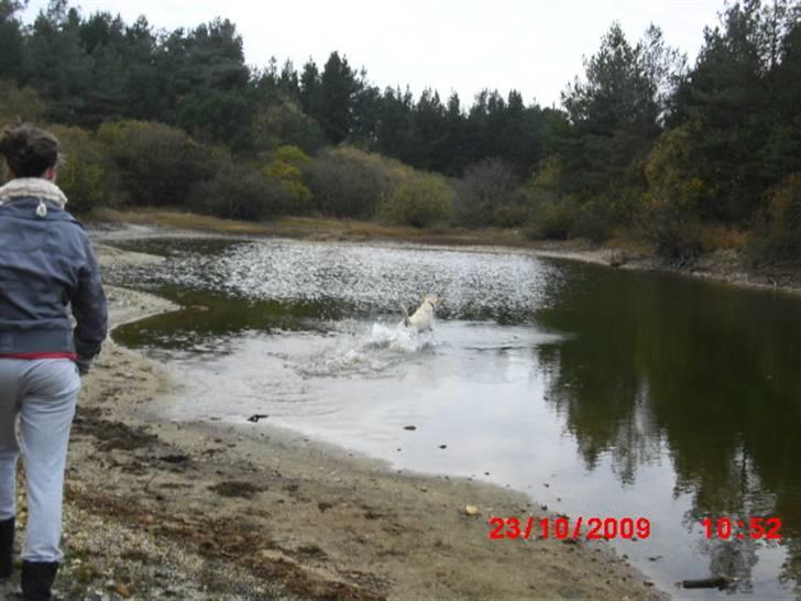 ». rikke schjødt jensen i; <3 billede 62
