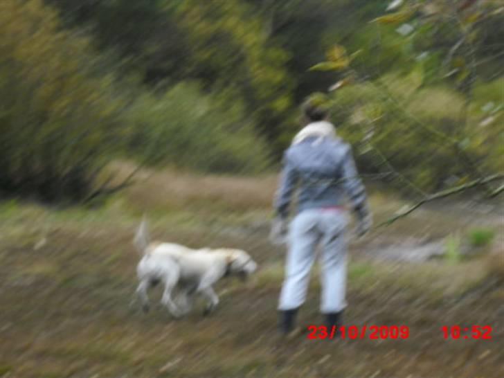 ». rikke schjødt jensen i; <3 billede 63