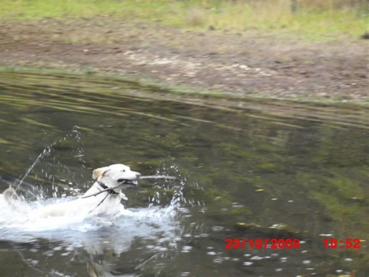 ». rikke schjødt jensen i; <3 billede 64