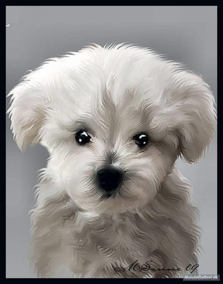 Superskønne tegninger og billeder fra andre - Fra **Det Lille Blå Lyn & Den Sorte Banditræv's moar *. SUPER flot billede, du er så dygtig, det er helt vildt! Tusind tusind tak!! billede 1