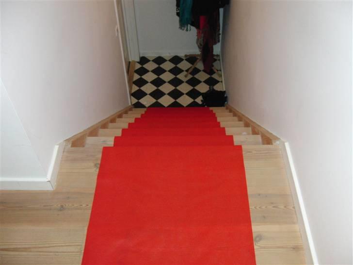 Hollywood fest billede 3