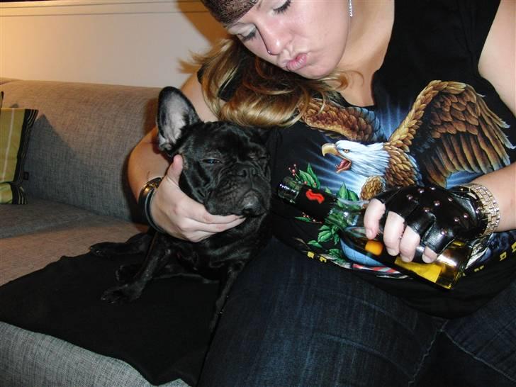 Hollywood fest billede 8