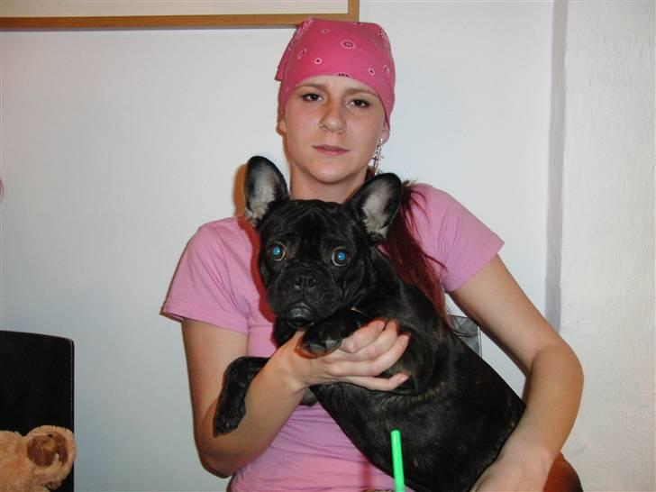 Hollywood fest billede 9