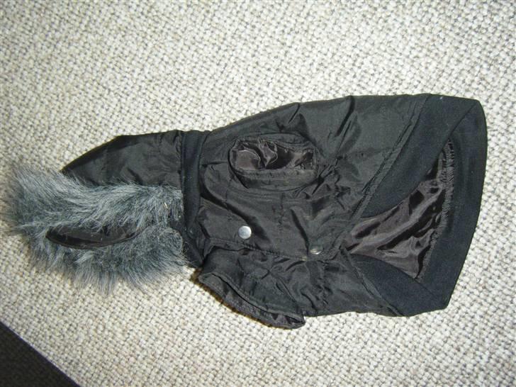 Tøj til små hunde billede 2