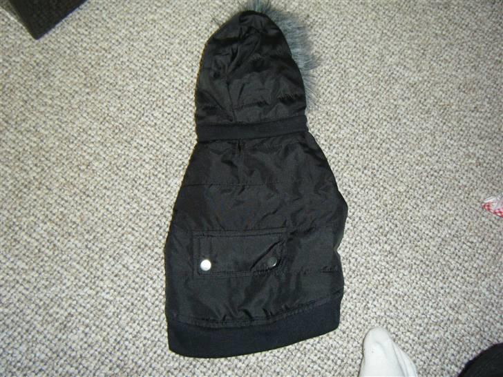 Tøj til små hunde billede 3