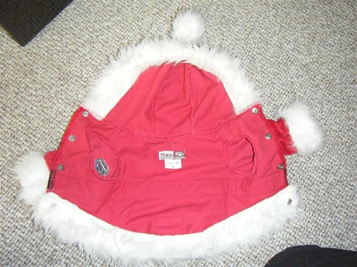 Tøj til små hunde billede 4