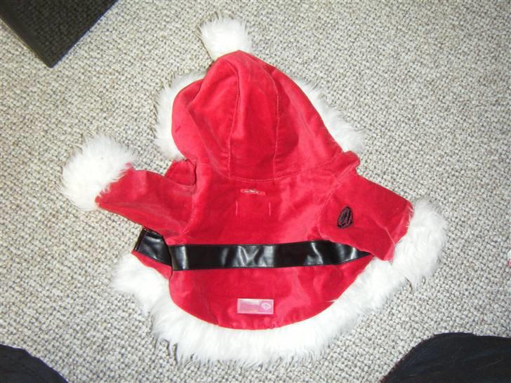 Tøj til små hunde billede 5