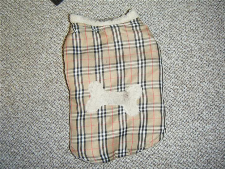 Tøj til små hunde billede 8