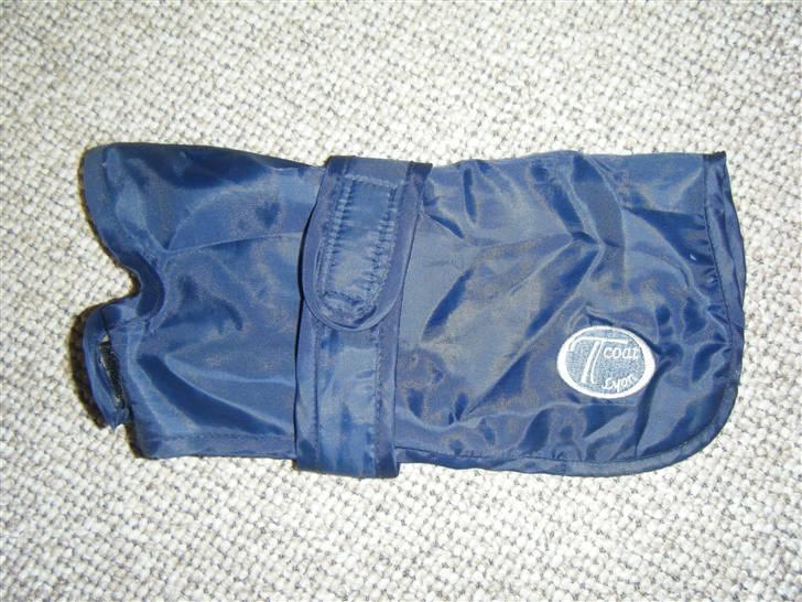 Tøj til små hunde billede 11