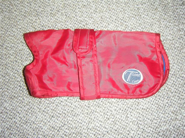 Tøj til små hunde billede 12