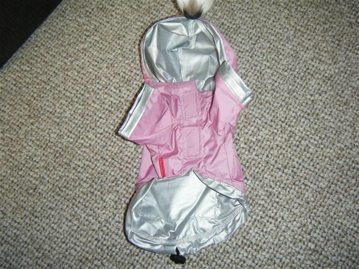 Tøj til små hunde billede 14