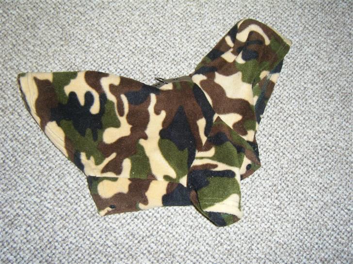 Tøj til små hunde billede 20