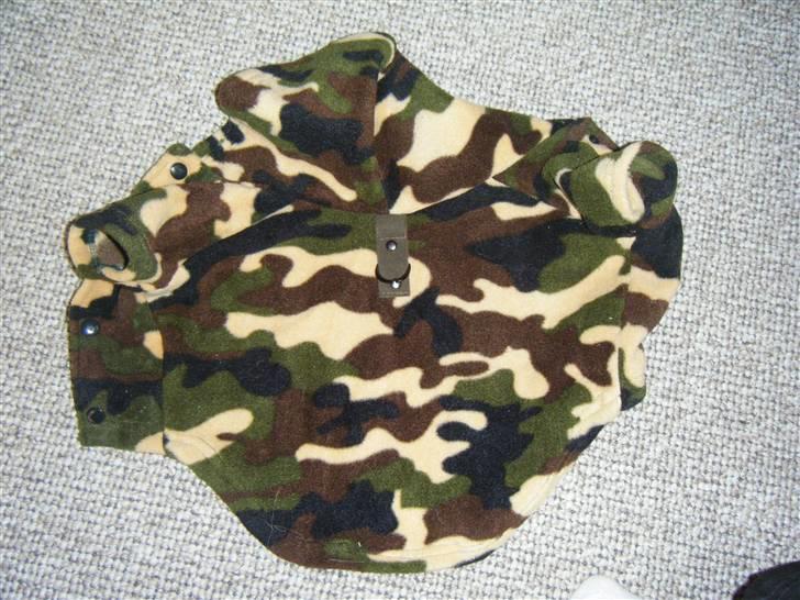 Tøj til små hunde billede 21