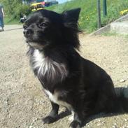 Fendi gennem tiderne:o)