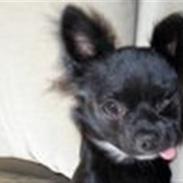 Fendi gennem tiderne:o)