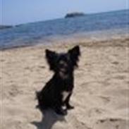 Fendi gennem tiderne:o)