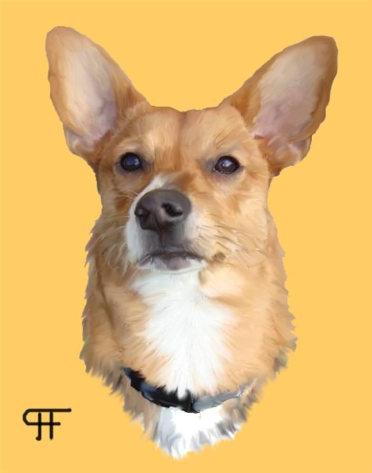 Tegninger af andres hunde - Blanding af racer Nougat. billede 289