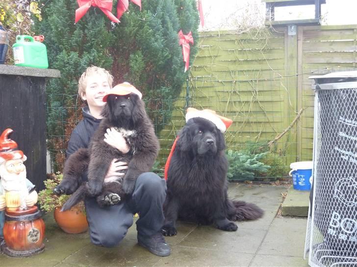 Julebilleder af Møffe & kængu carla billede 1